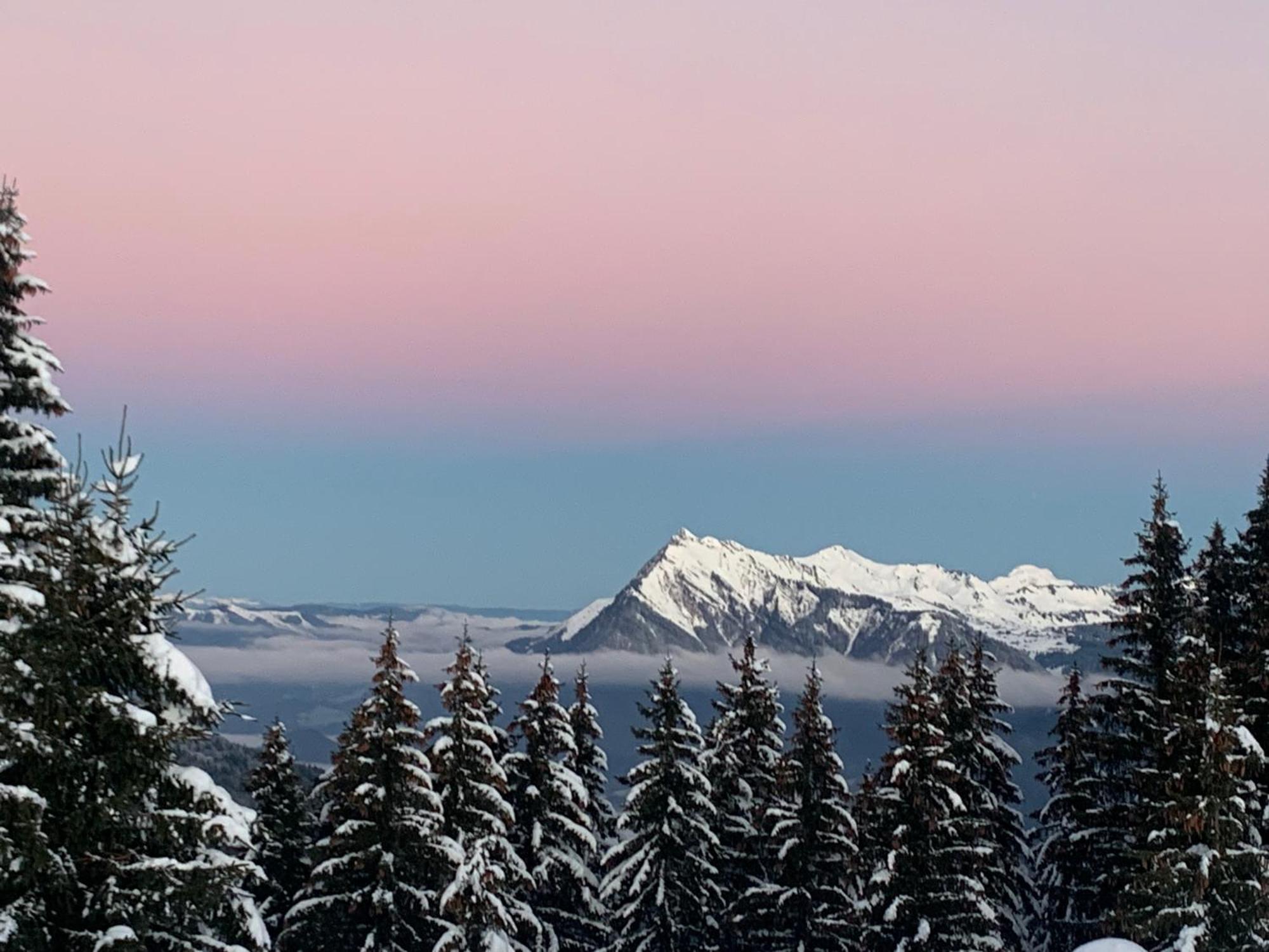 Apartment 1600, Au Pied Samoens